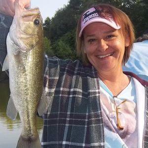 Meet your Posher, Betty